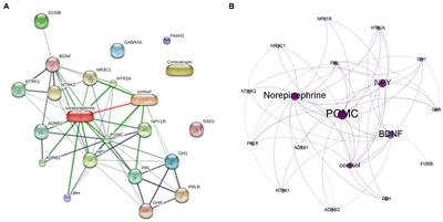 A systems biology approach for discovering the cellular and molecular aspects of psychogenic non-epileptic seizure